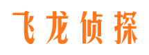 应城市场调查